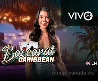 Gambling info site - Jack Bit Casino (Gallery 2-2)