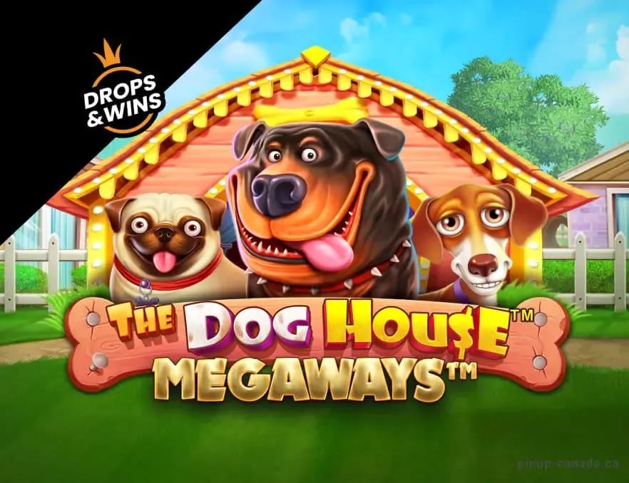 Gambling info site - Jack Bit Casino (Gallery 1-15)